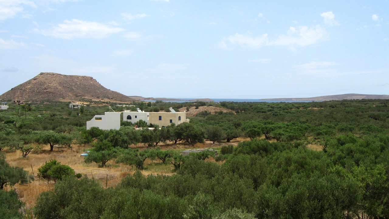 Photo of Others in Agkathia