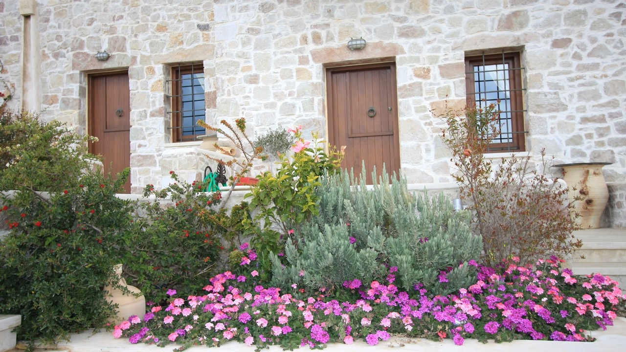 Photo of Others in Xerokampos