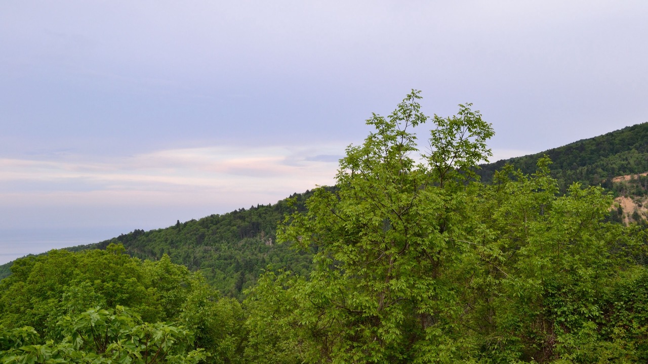 Photo of Outdoor in Skotina
