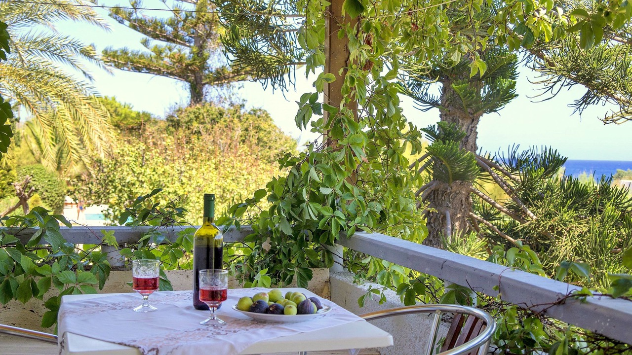 Photo of Patio Balcony in Tripitos