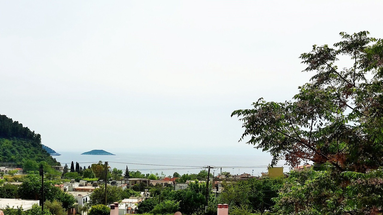 Photo of Others in Elios