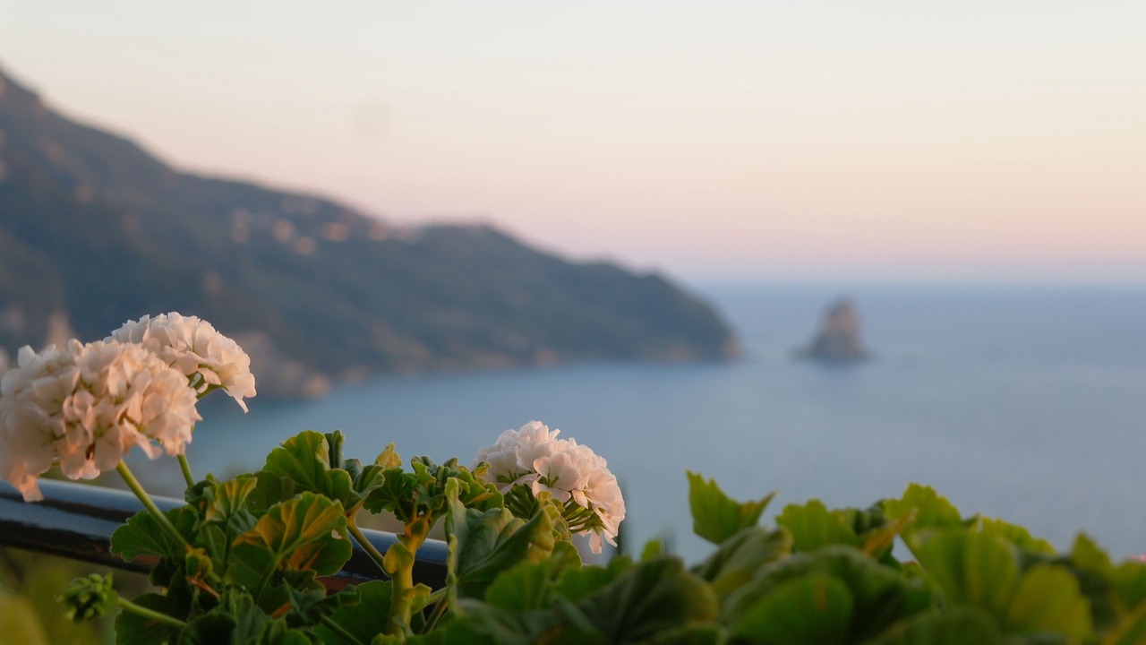 Photo of Others in Corfu