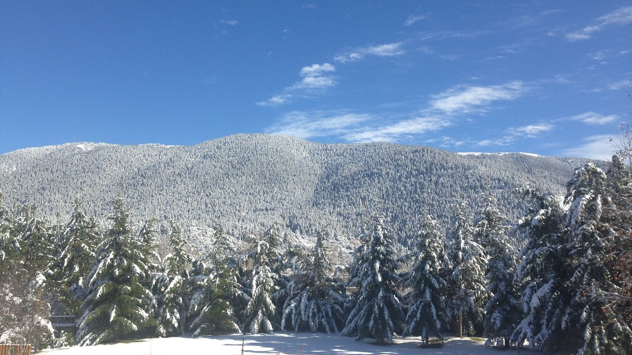 Photo of Outdoor in Vitina