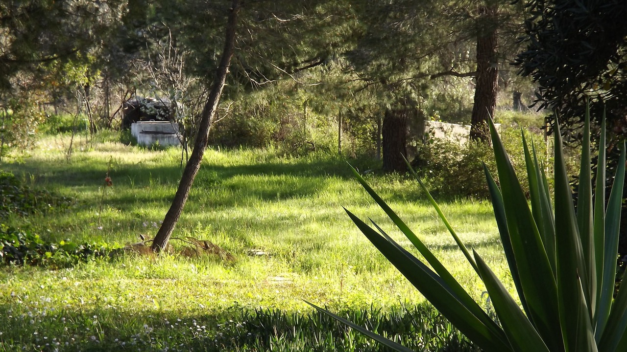 Photo of Outdoor in Vourvourou