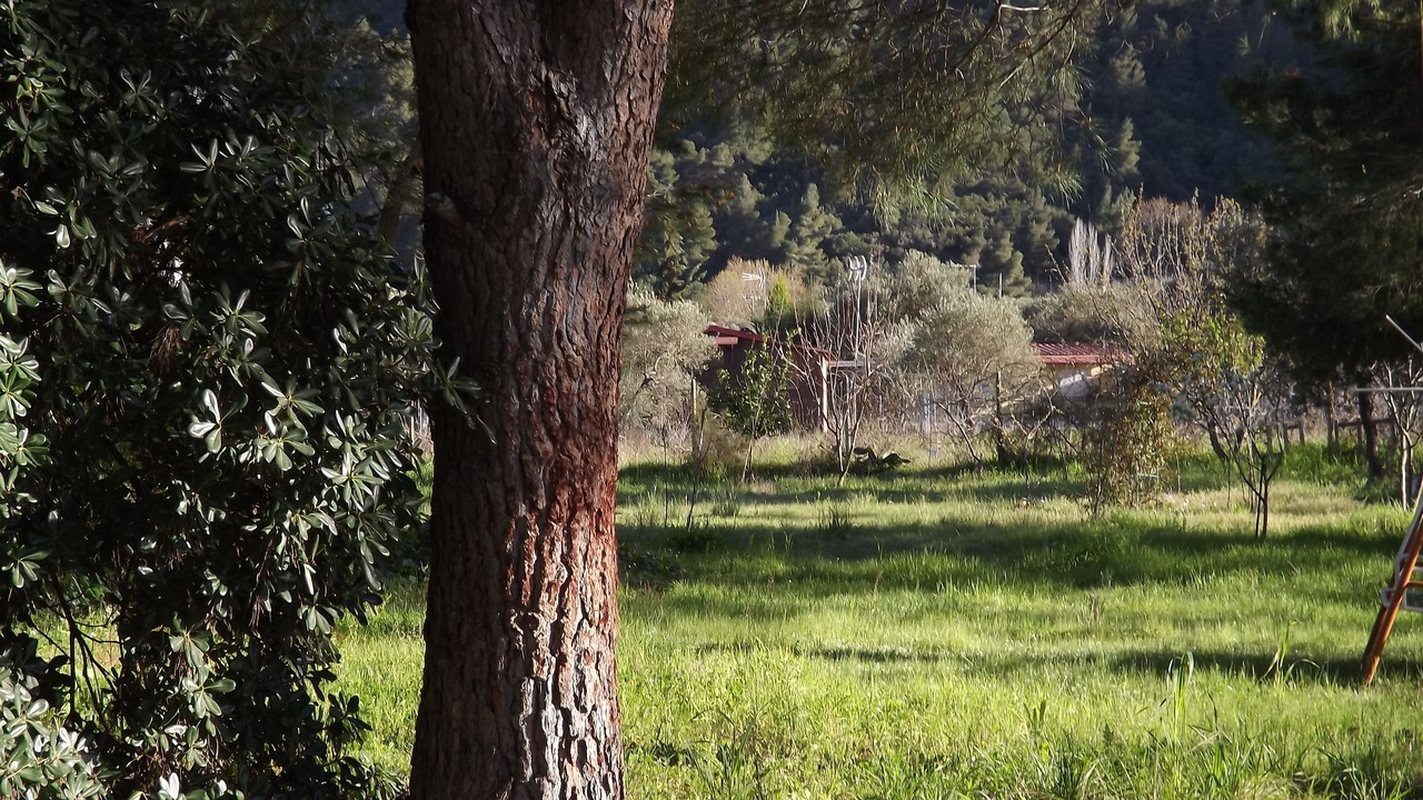 Photo of Outdoor in Vourvourou