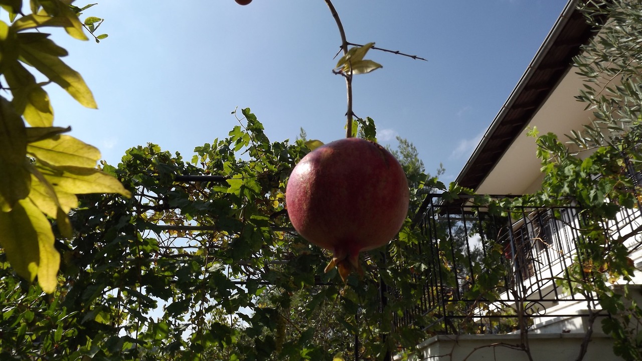 Photo of Outdoor in Vourvourou