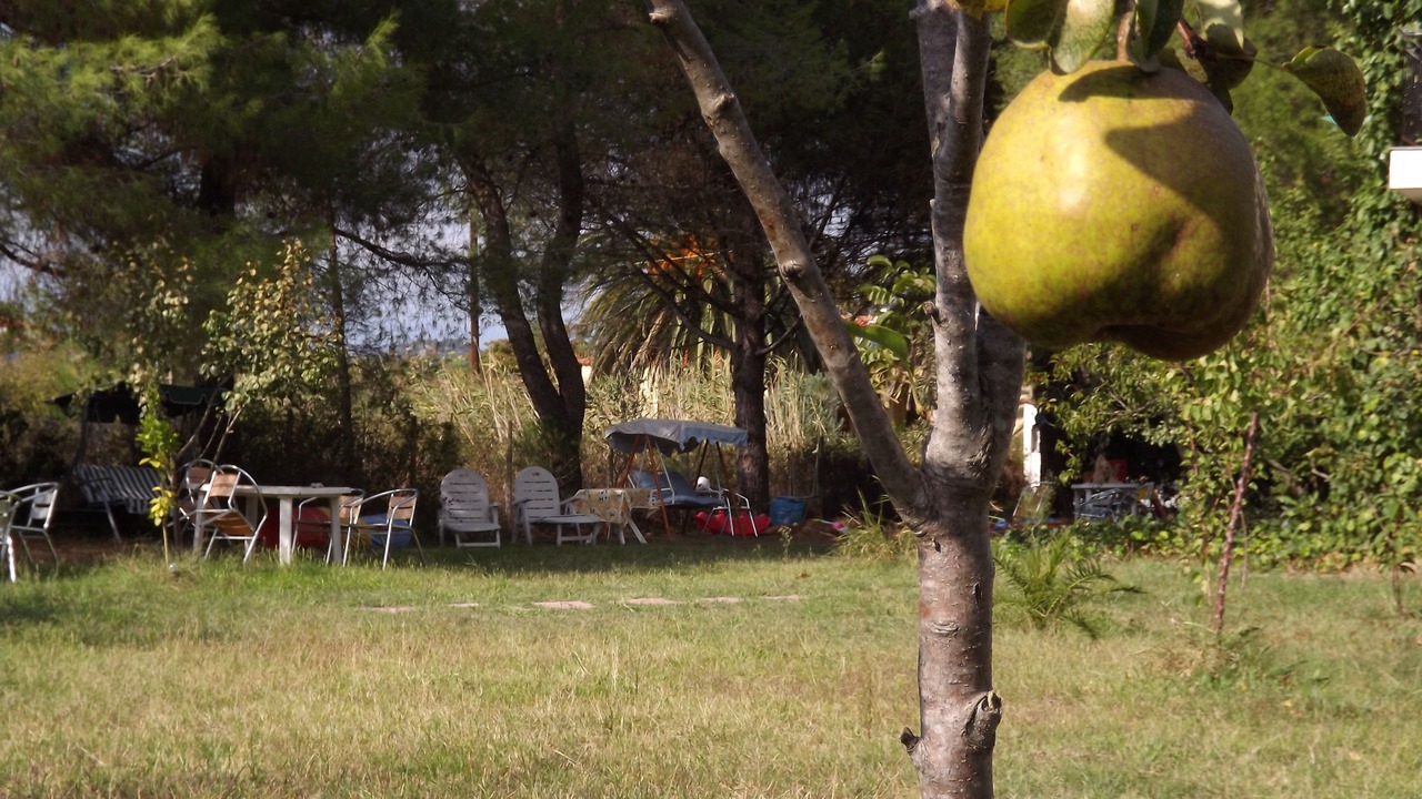 Photo of Outdoor in Vourvourou