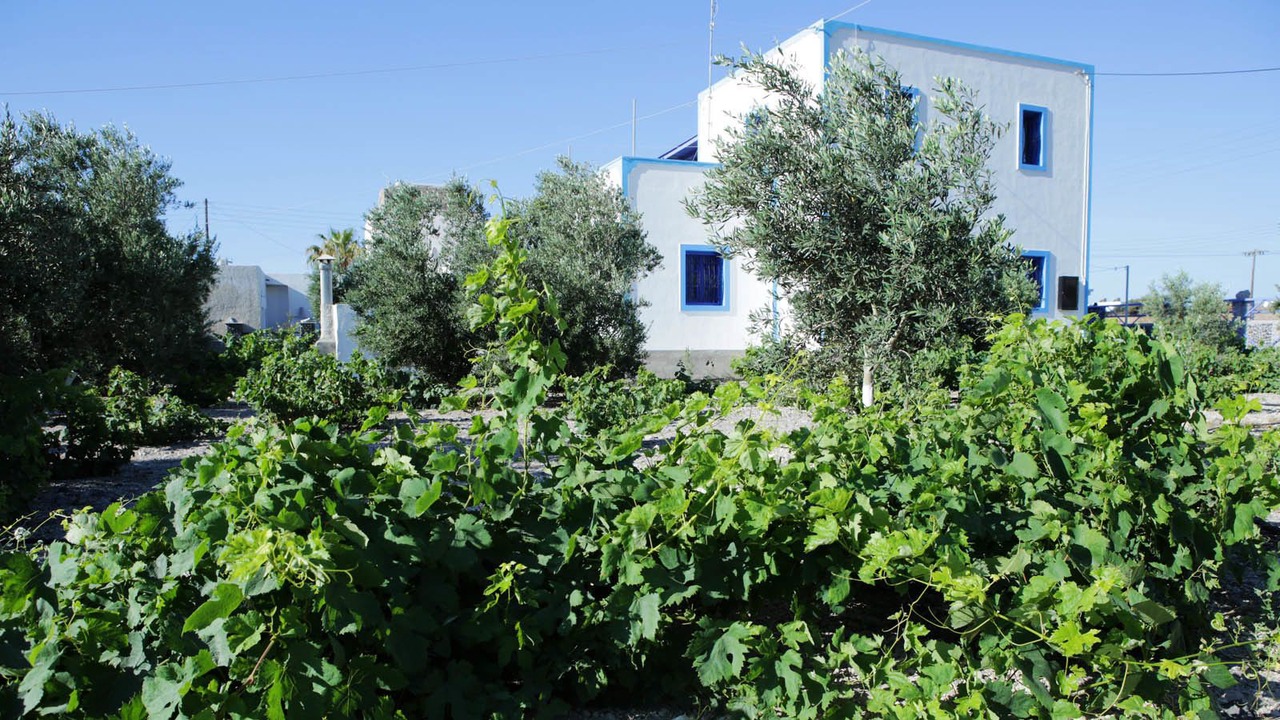 Photo of Outdoor in Perivolos