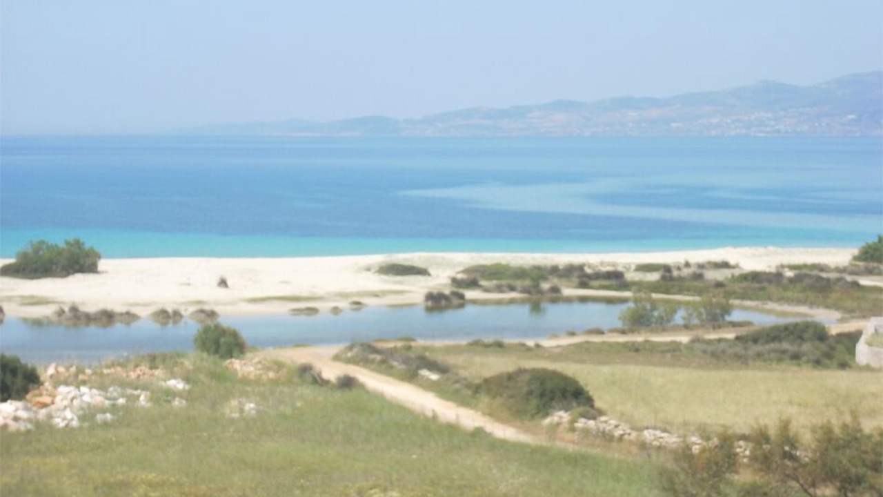 Photo of Others in Naxos