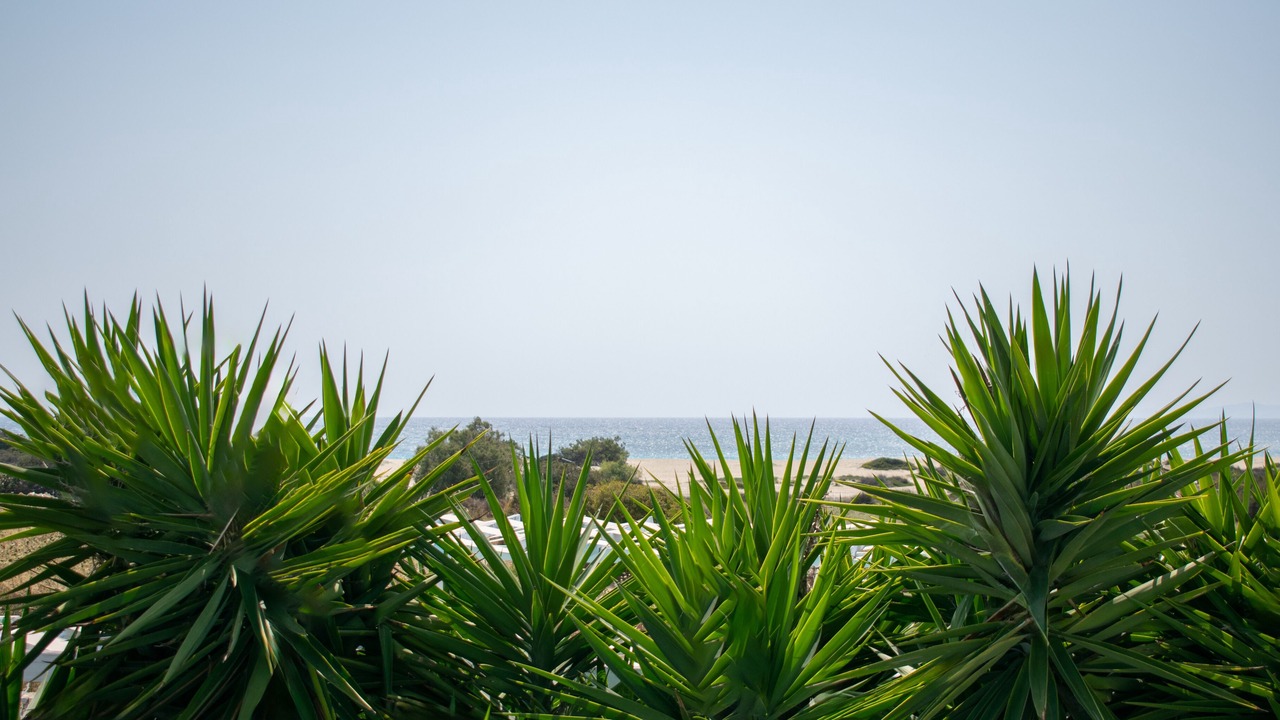 Photo of Others in Naxos