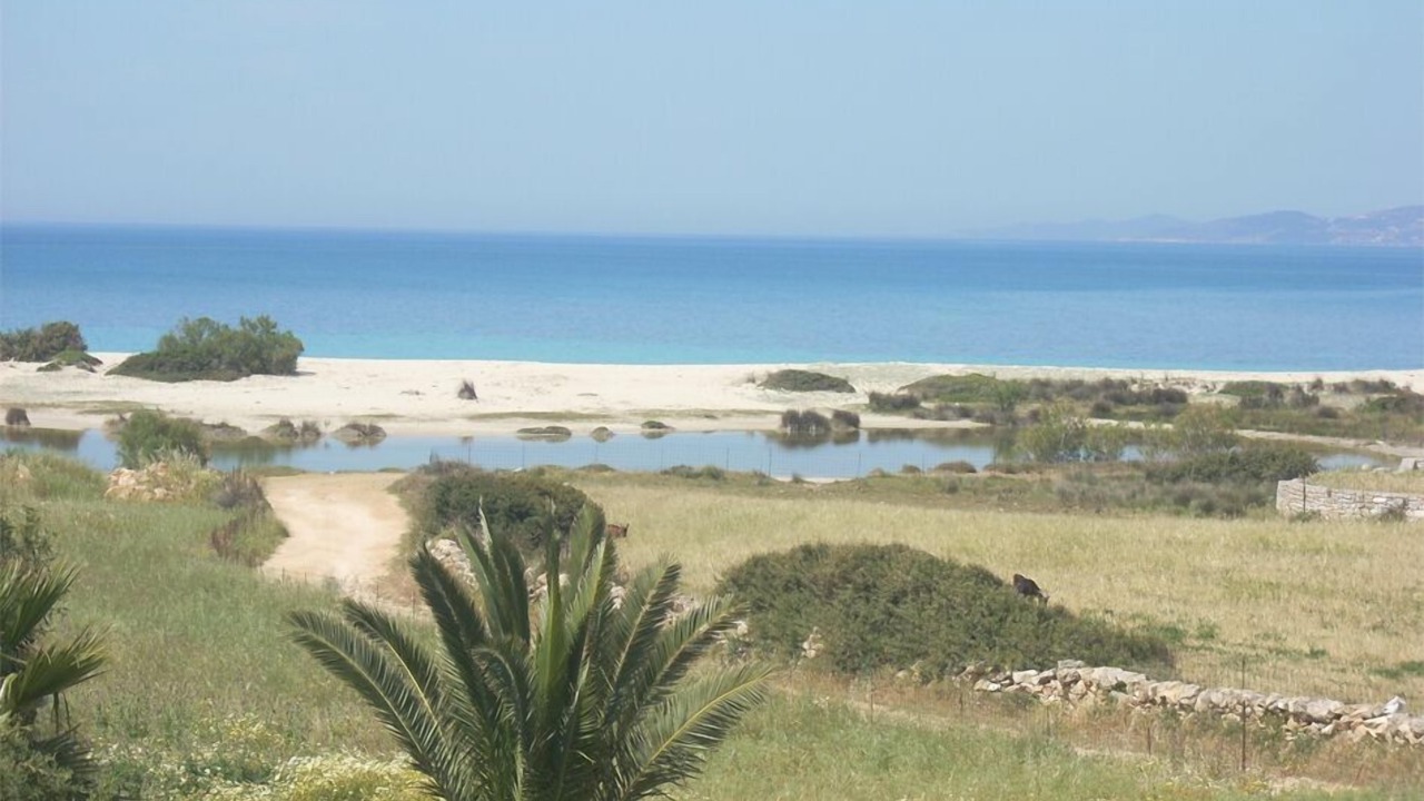 Photo of Others in Naxos