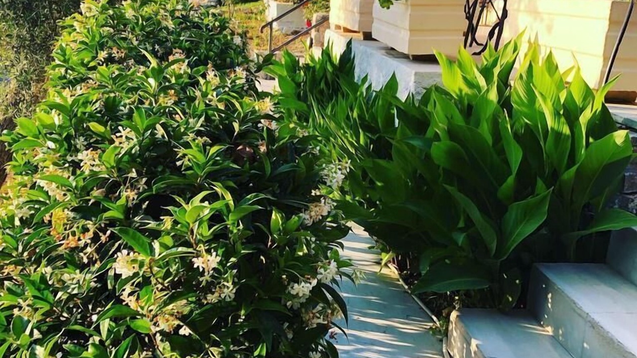Photo of Outdoor in Kato Galatas