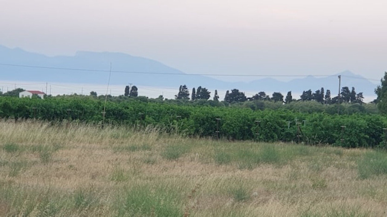 Photo of Others in Kardamena