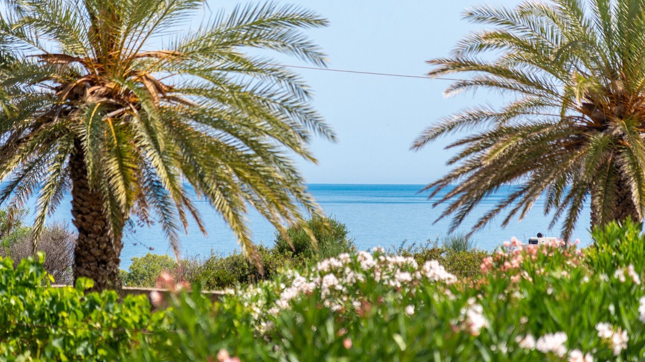 Photo of Others in Sitia