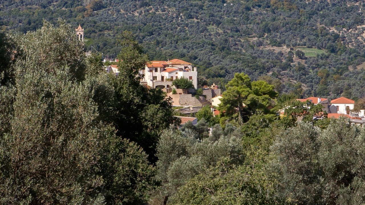 Photo of Outdoor in Amarion
