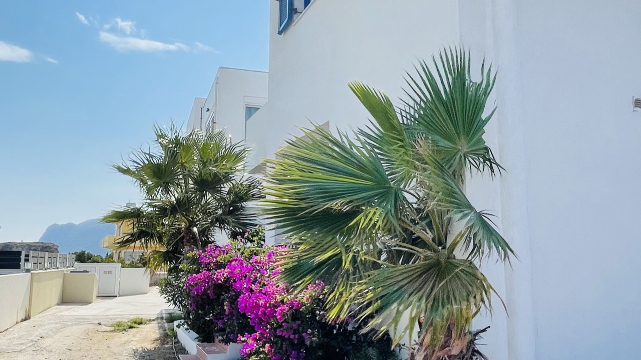 Photo of Outdoor in Kefalos