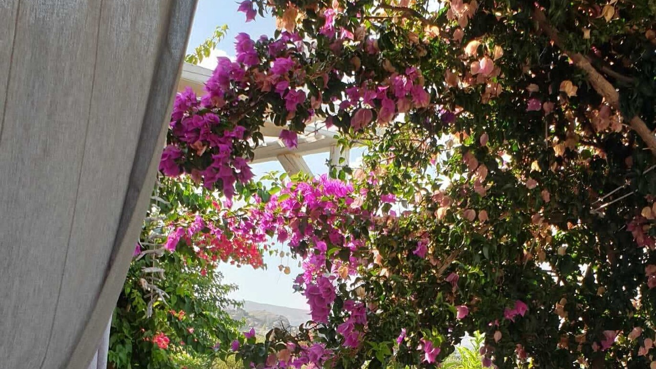 Photo of Patio Balcony in Maragas