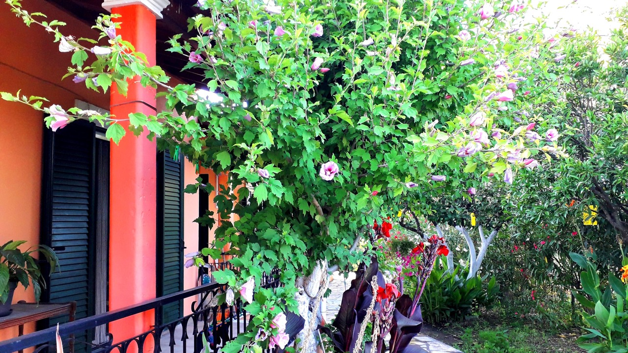 Photo of Outdoor in Melikia