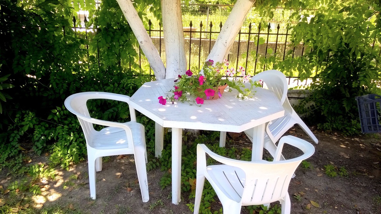 Photo of Outdoor in Melikia