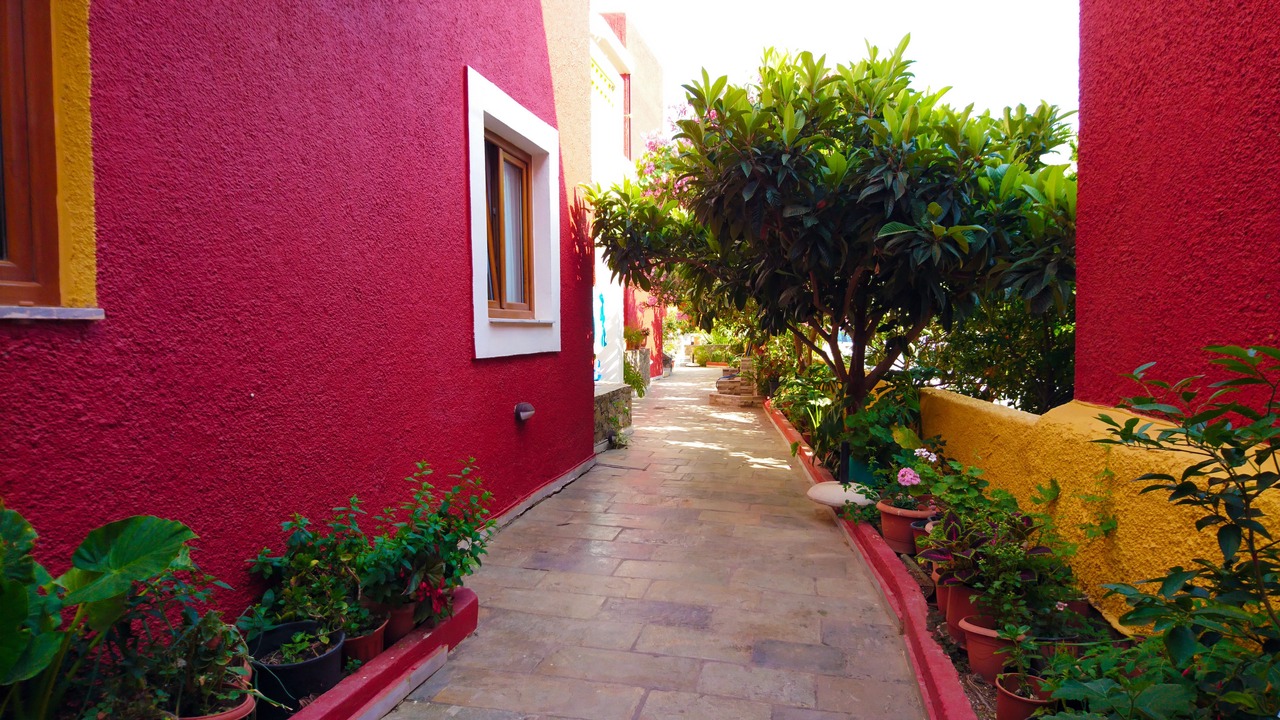 Photo of Outdoor in Platanes