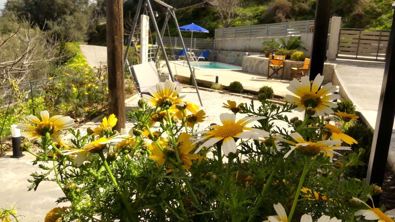 Photo of Outdoor in Drakona