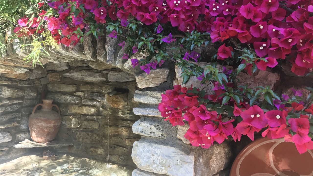 Photo of Outdoor in Koukounaries