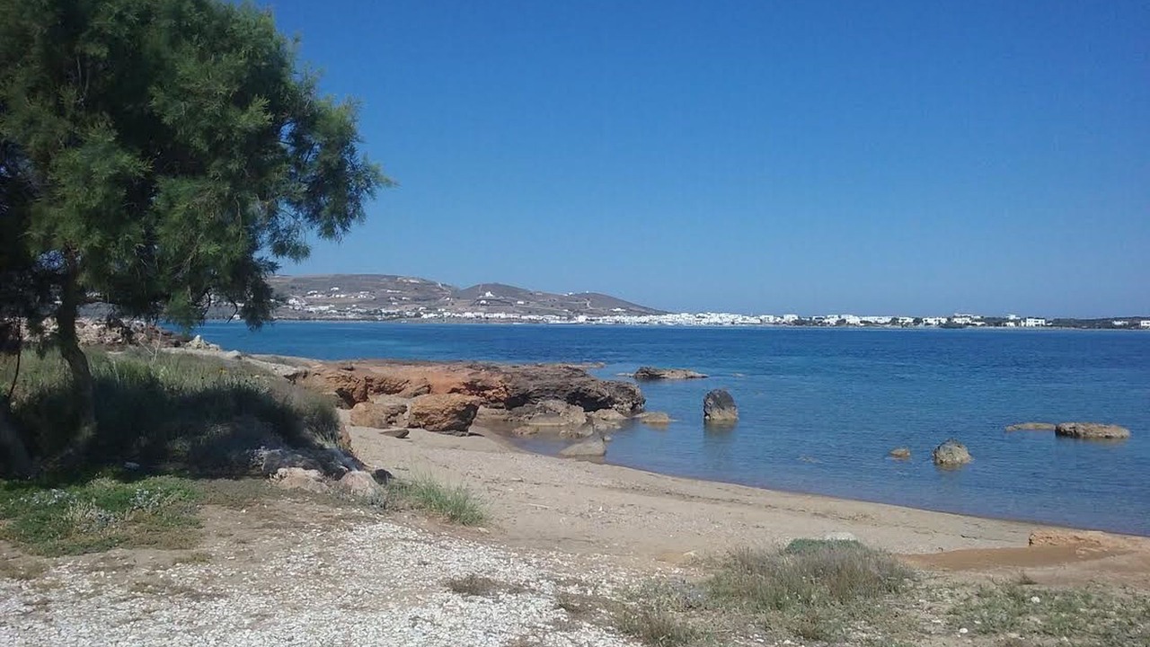 Photo of Others in Pounta