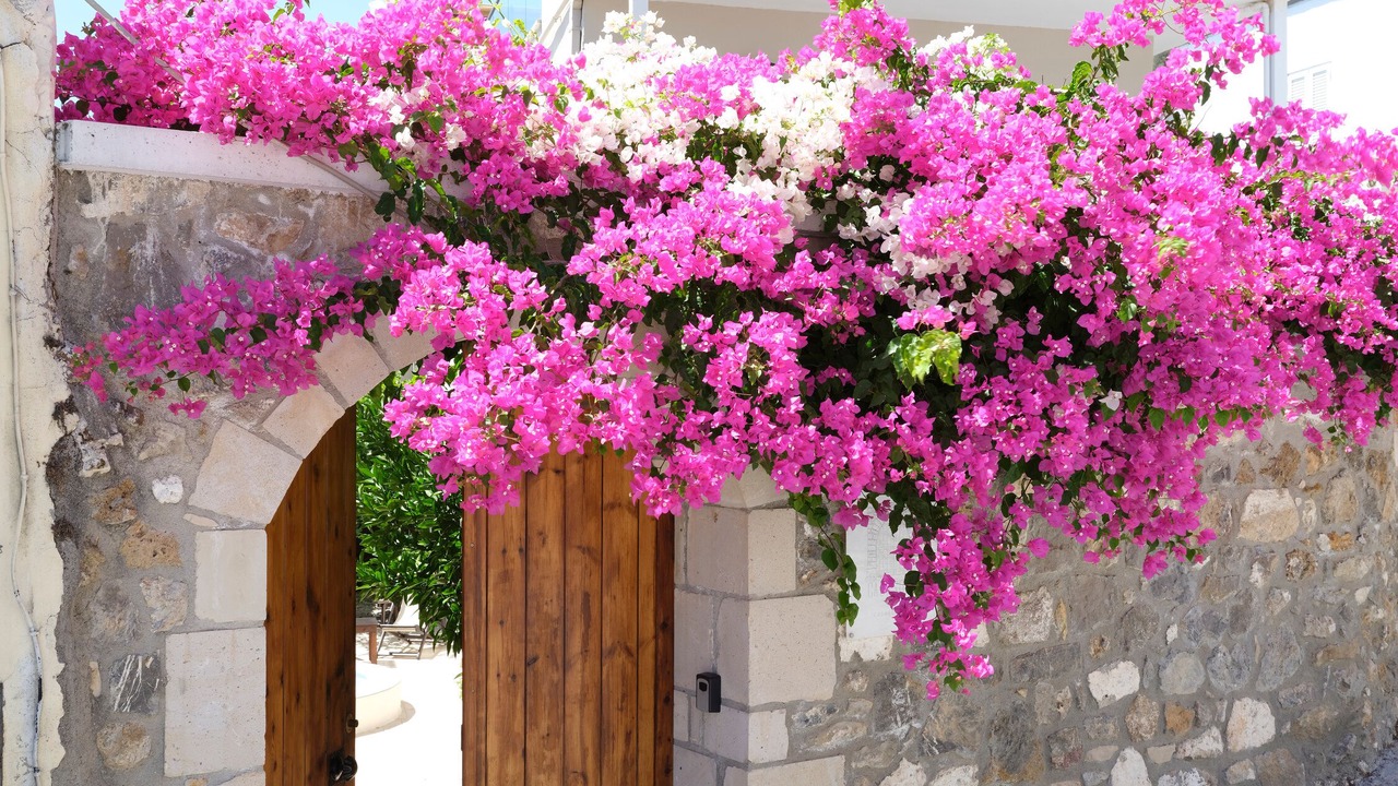 Photo of Outdoor in Spilion
