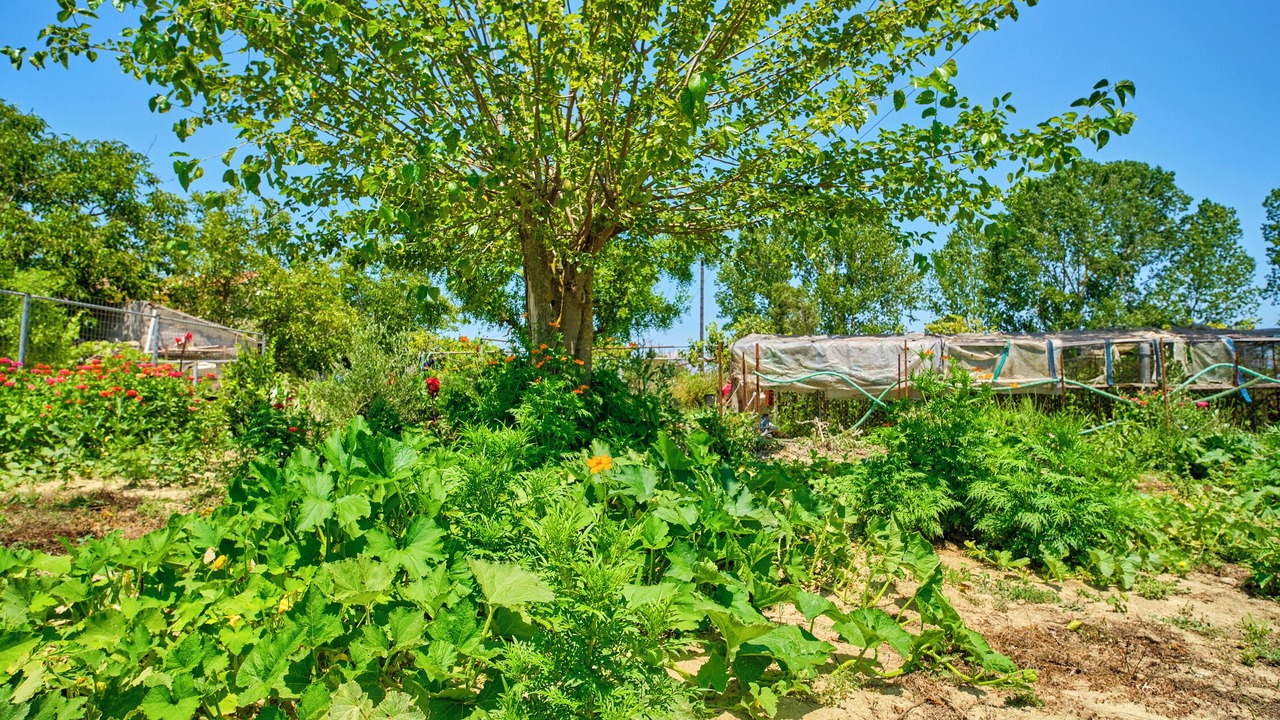 Photo of Outdoor in Velonades