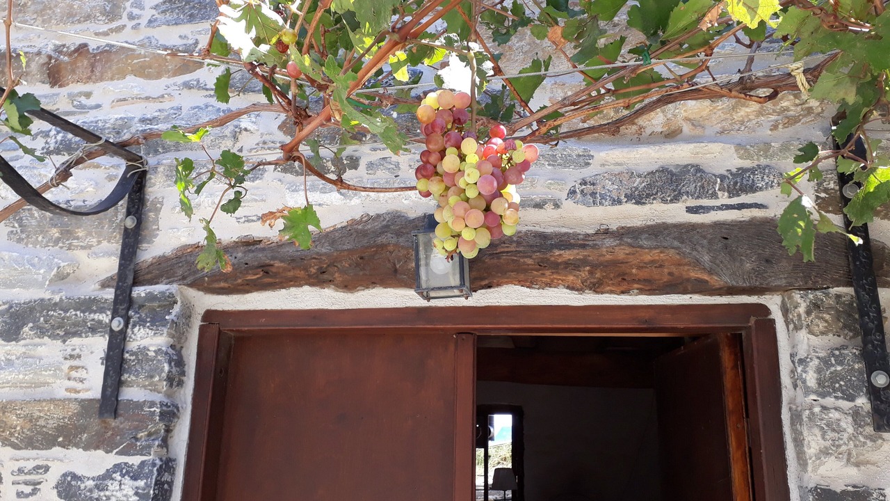 Photo of Outdoor in Marmari