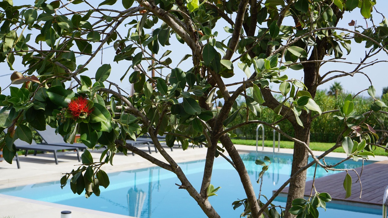 Photo of Outdoor in Pyrgos Psilonerou