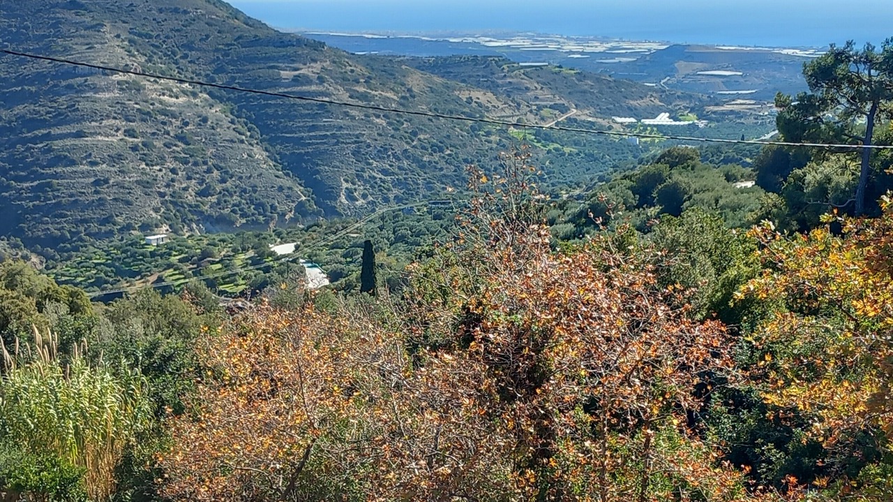 Photo of Others in Lassithi Prefecture