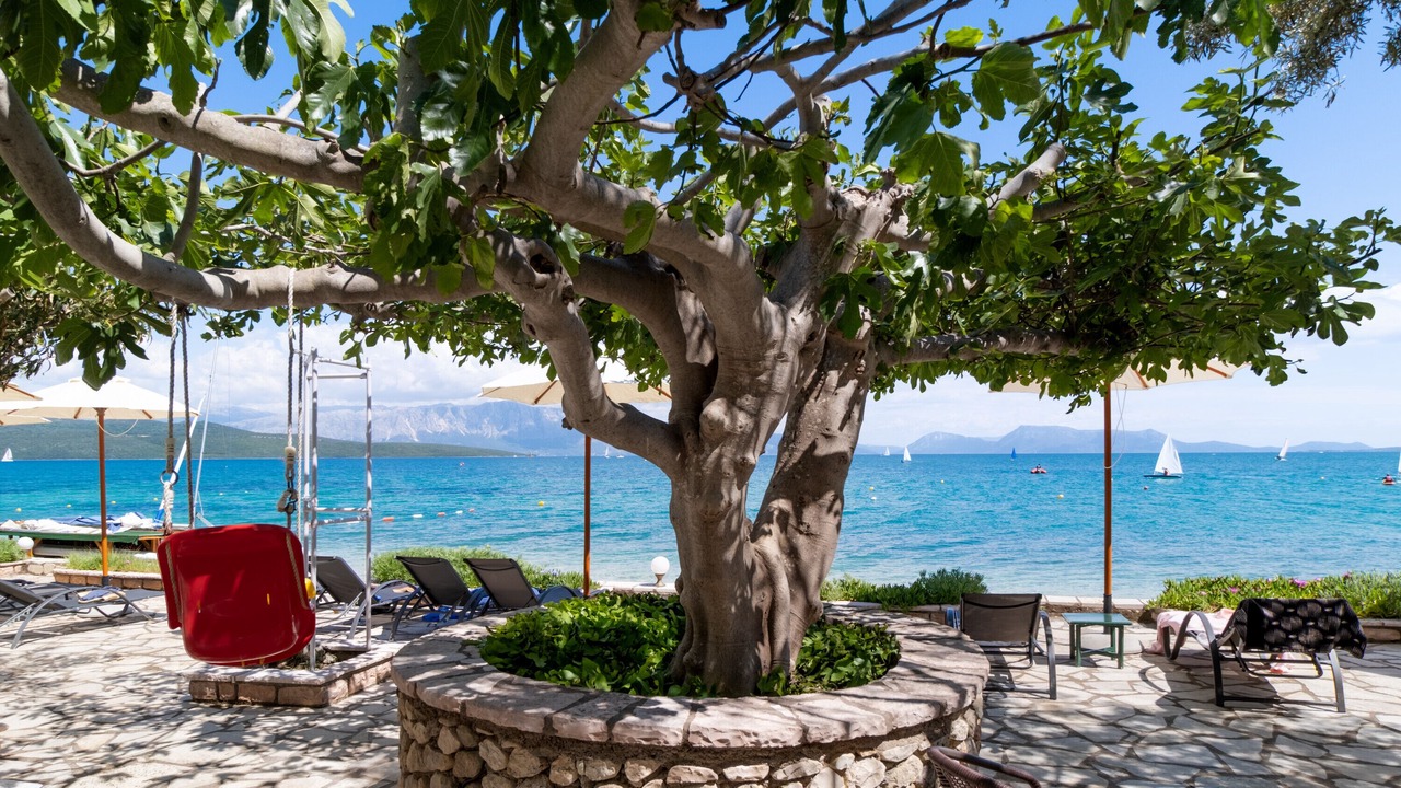 Photo of Patio Balcony in Nikiana