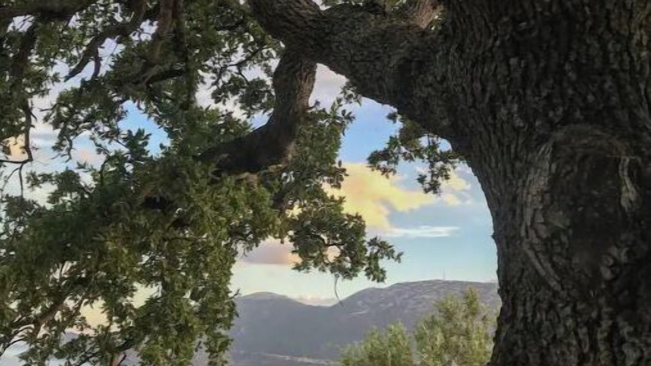 Photo of Outdoor in East Mani