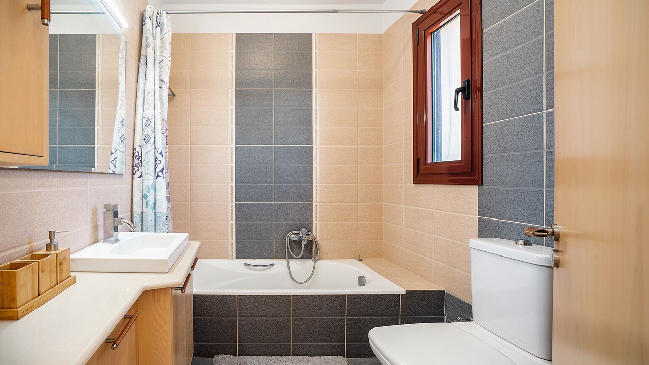 Photo of Bathroom in Psinthos