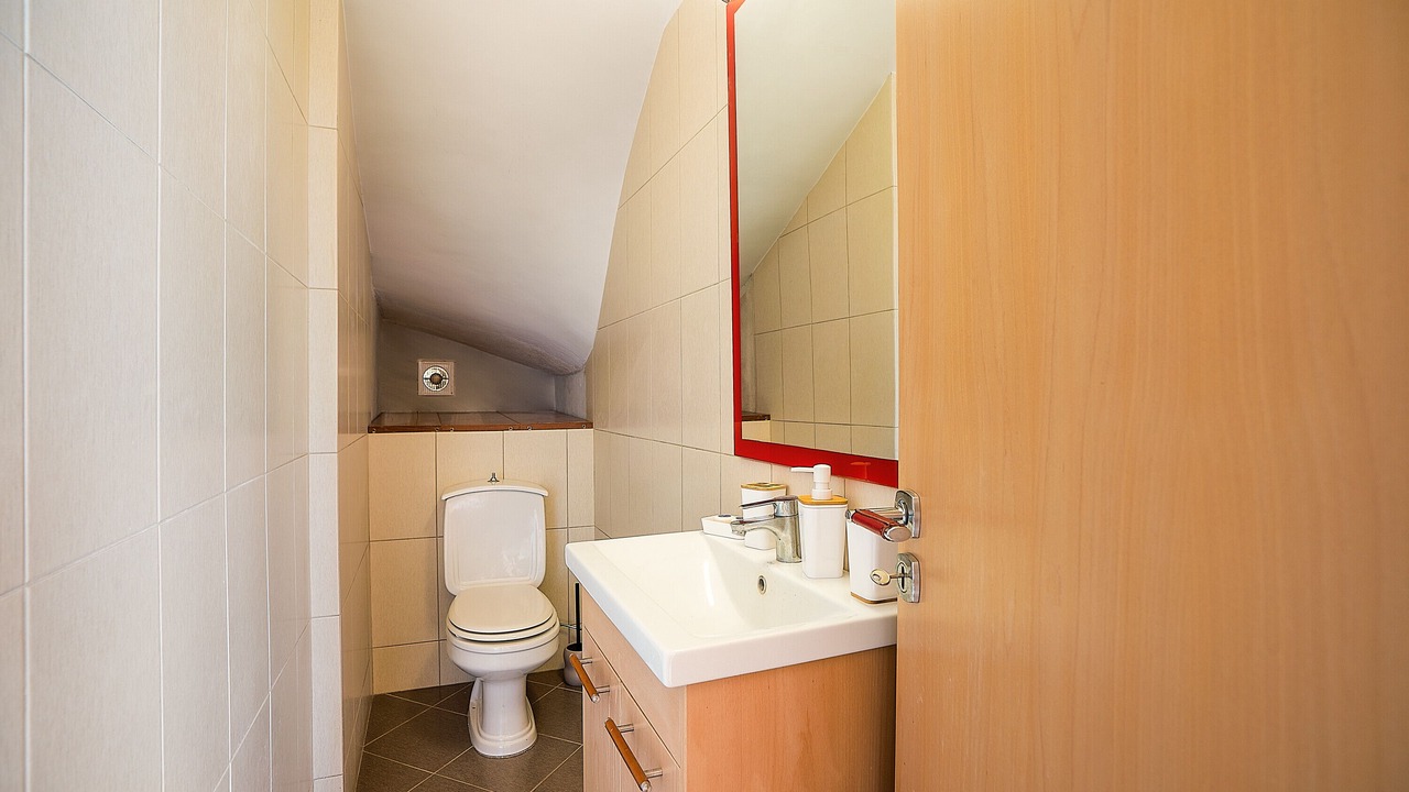 Photo of Bathroom in Psinthos