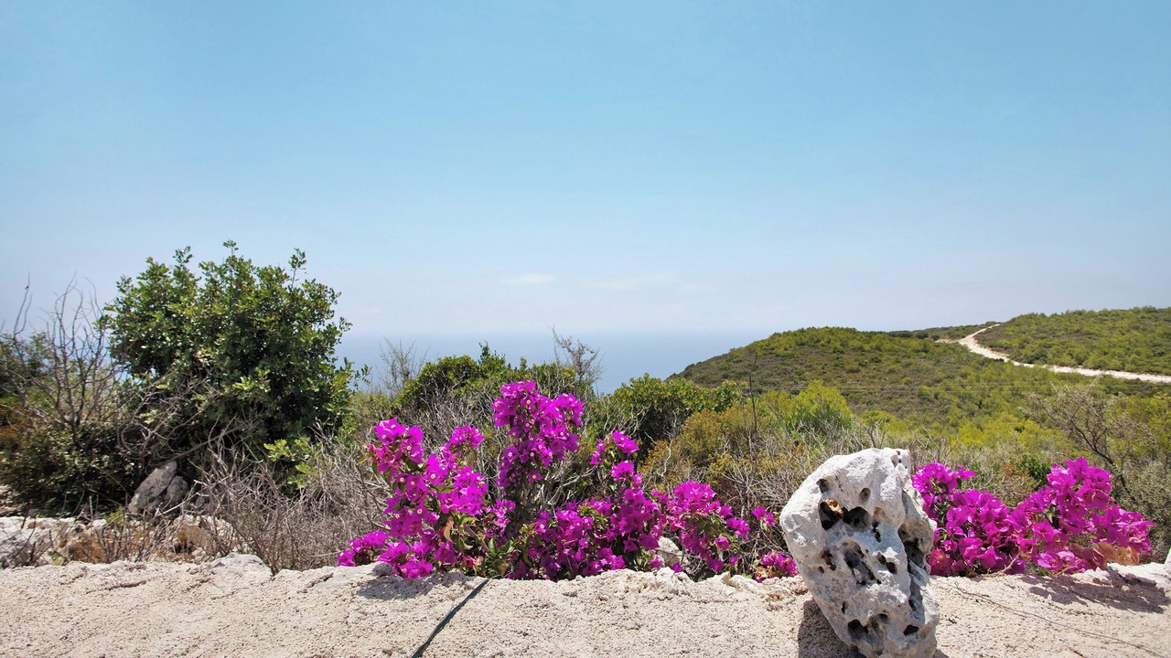 Photo of Others in Agia Marina
