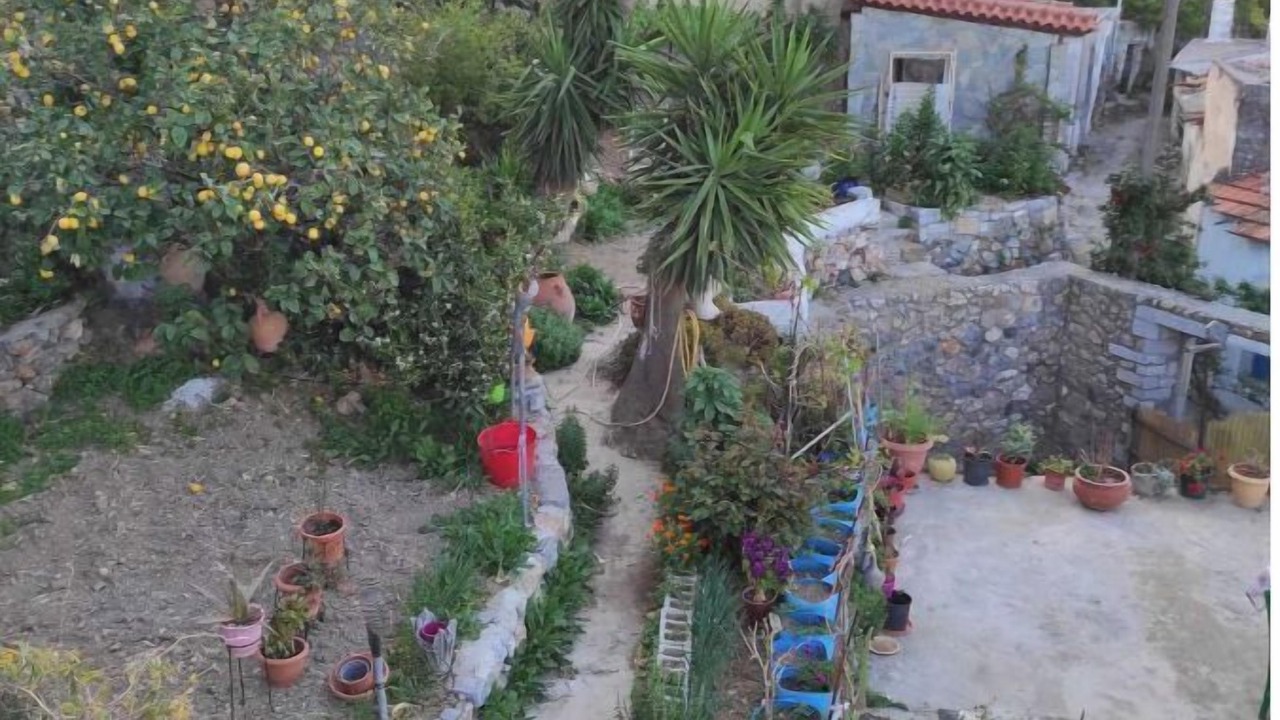Photo of Outdoor in Vrachasi