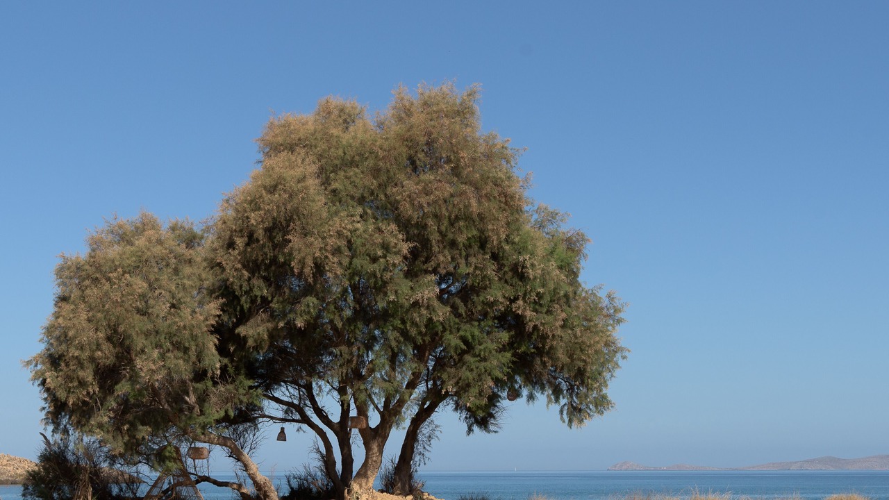 Photo of Others in Karteros