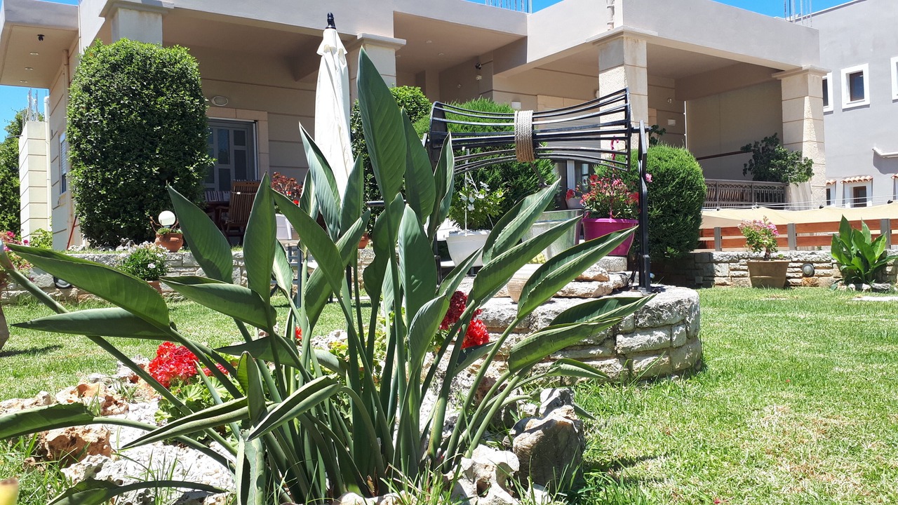 Photo of Outdoor in Perivolia