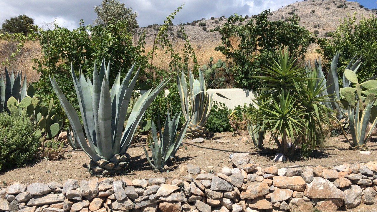 Photo of Outdoor in Lardos