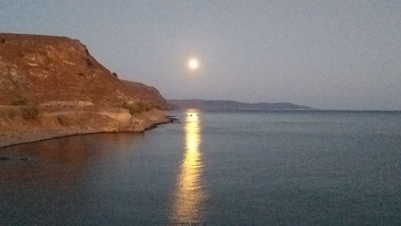 Photo of Others in Tavari
