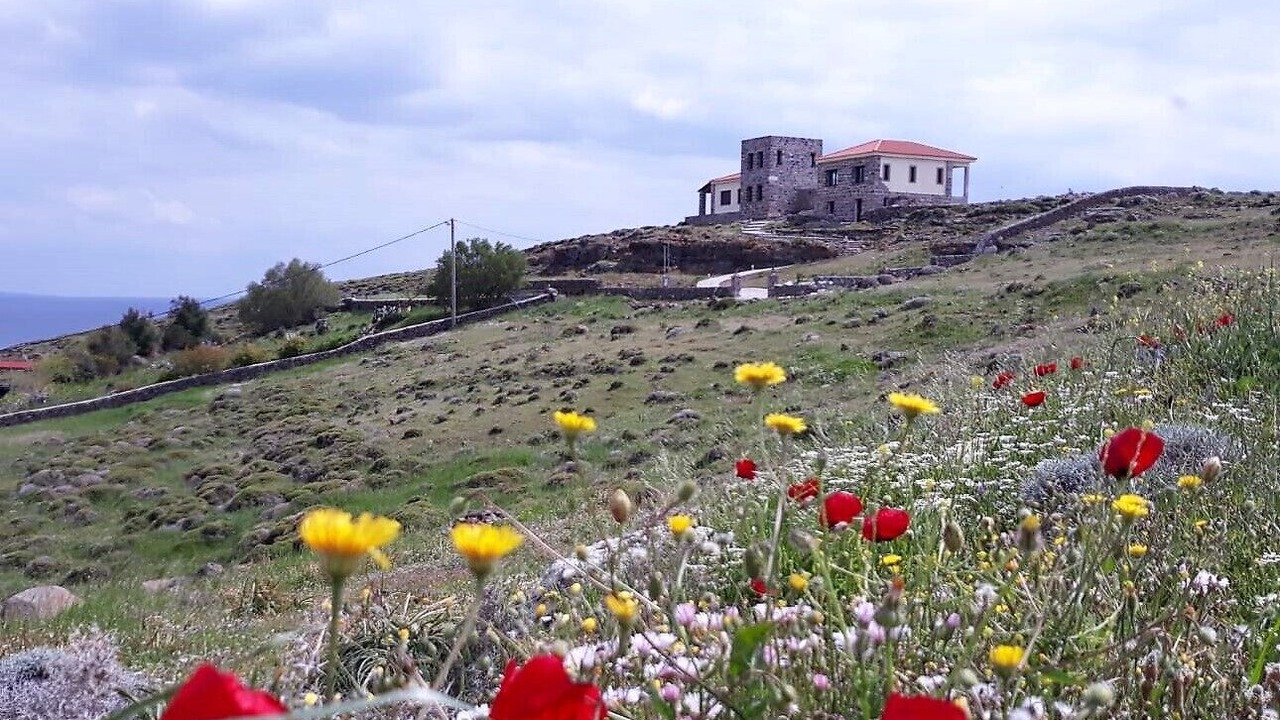 Photo of Others in Tavari