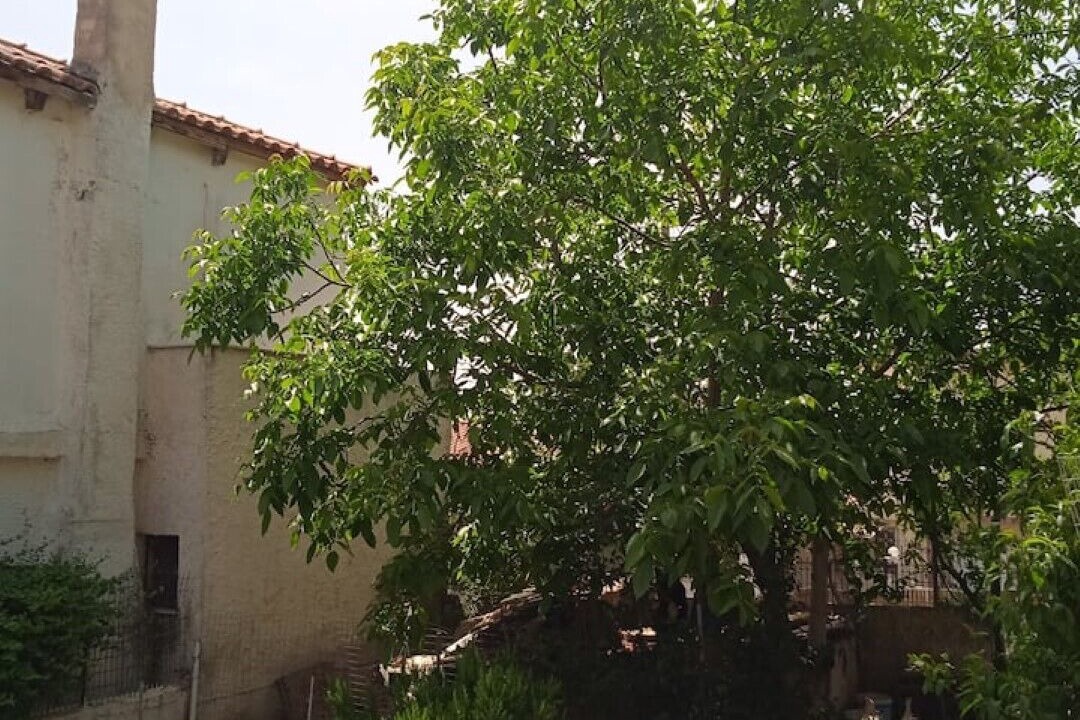 Photo of Outdoor in Fyli