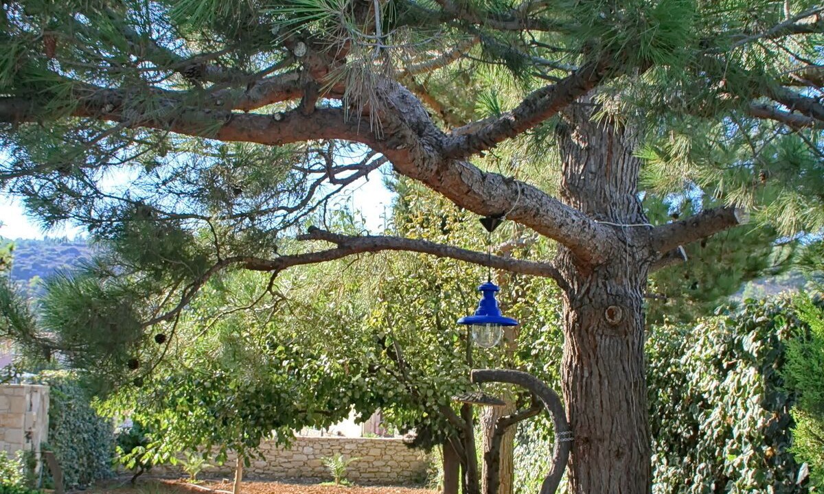 Photo of Outdoor in Archanes
