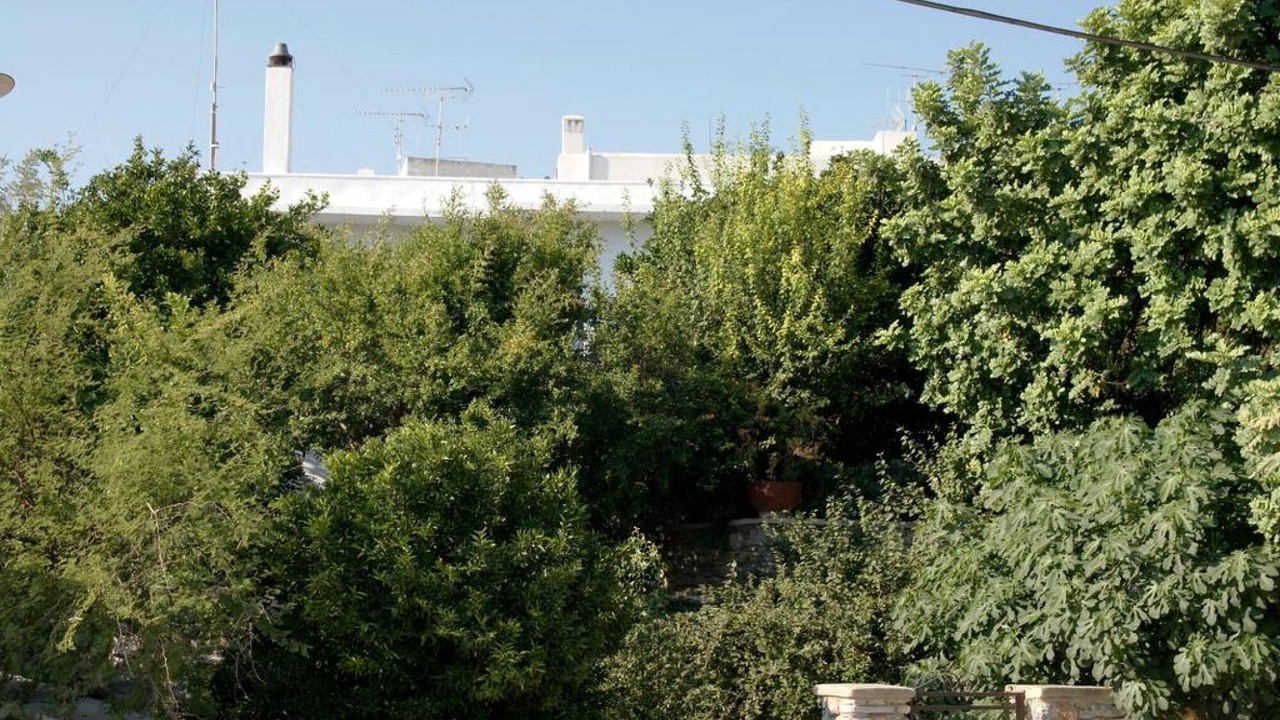 Photo of Outdoor in Filoti