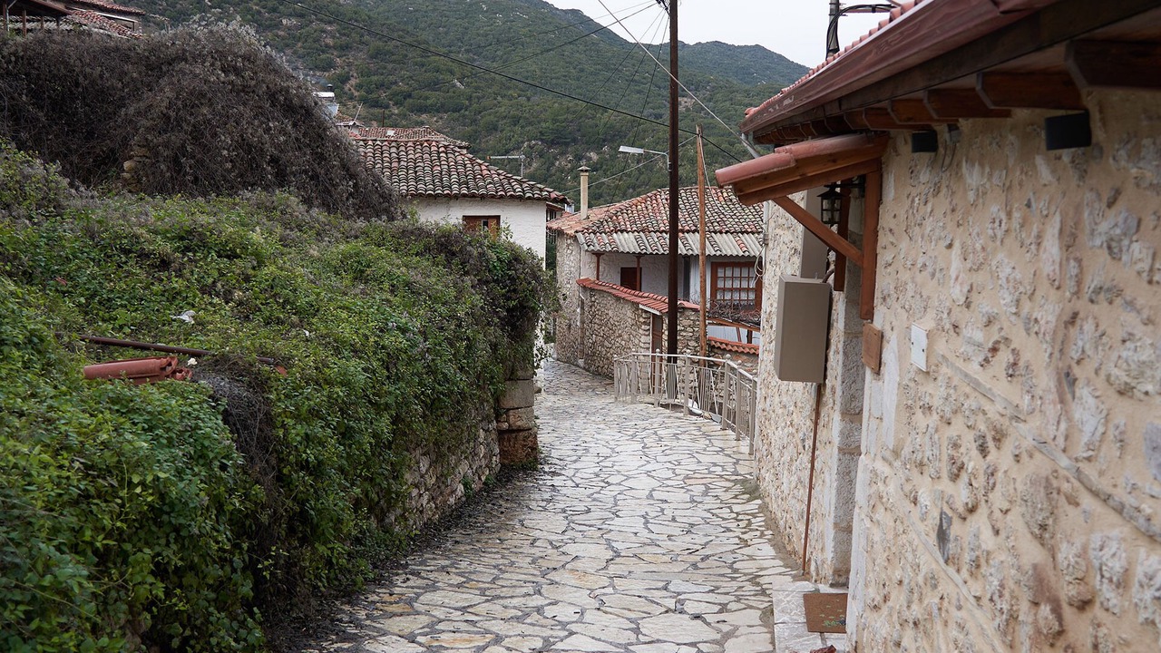 Photo of Outdoor in Raftis