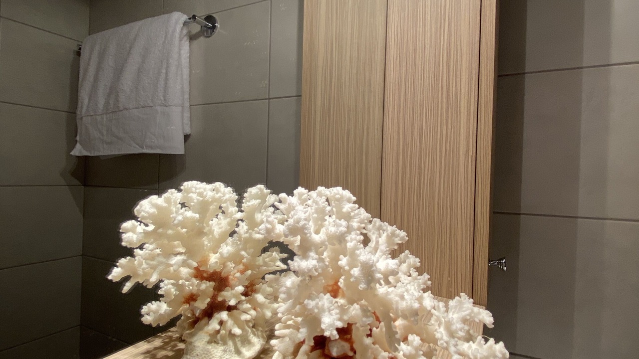 Photo of Bathroom in Petalidi