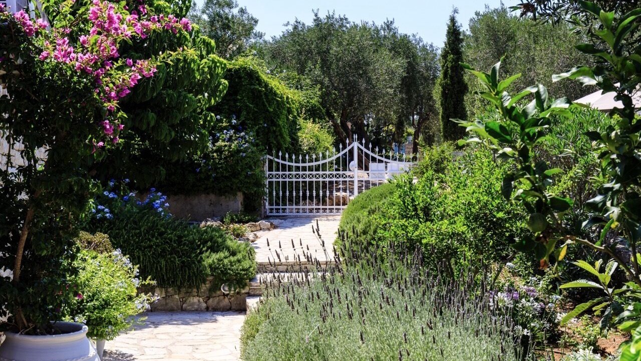 Photo of Outdoor in Vlachopoulatika