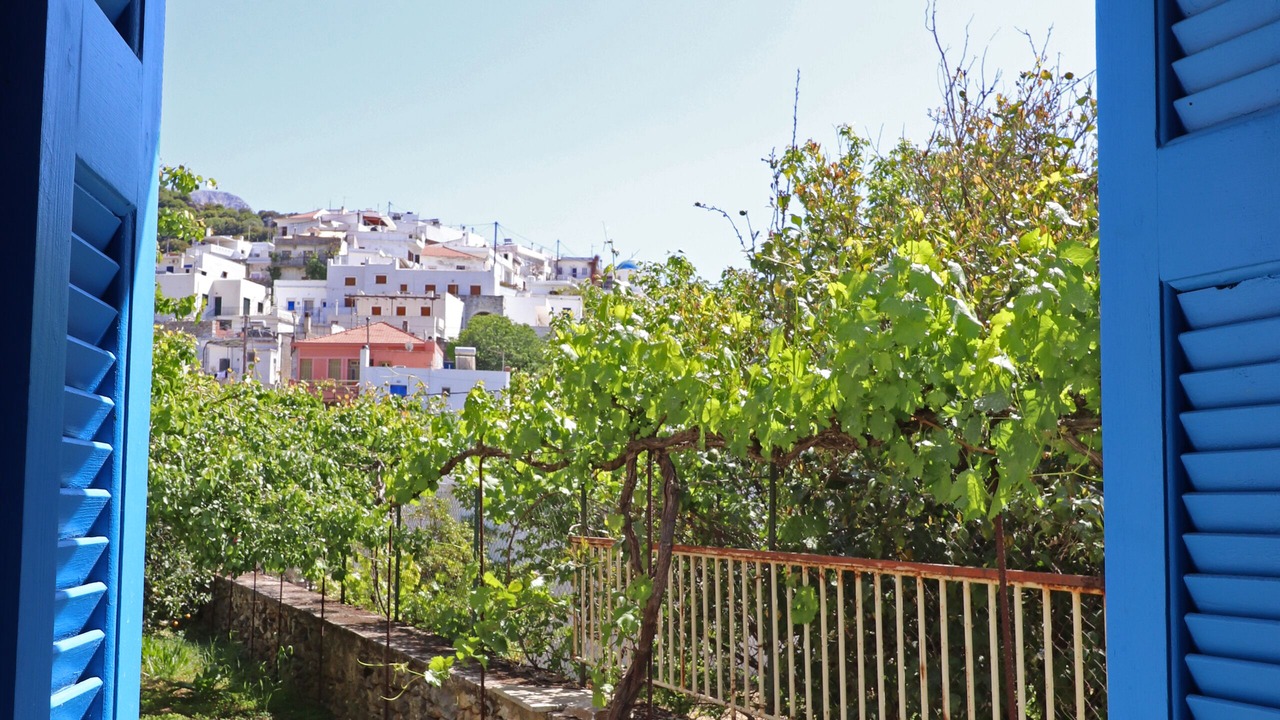 Photo of Outdoor in Filoti